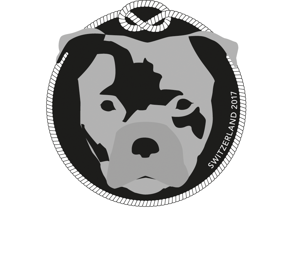 Harmony Vibes